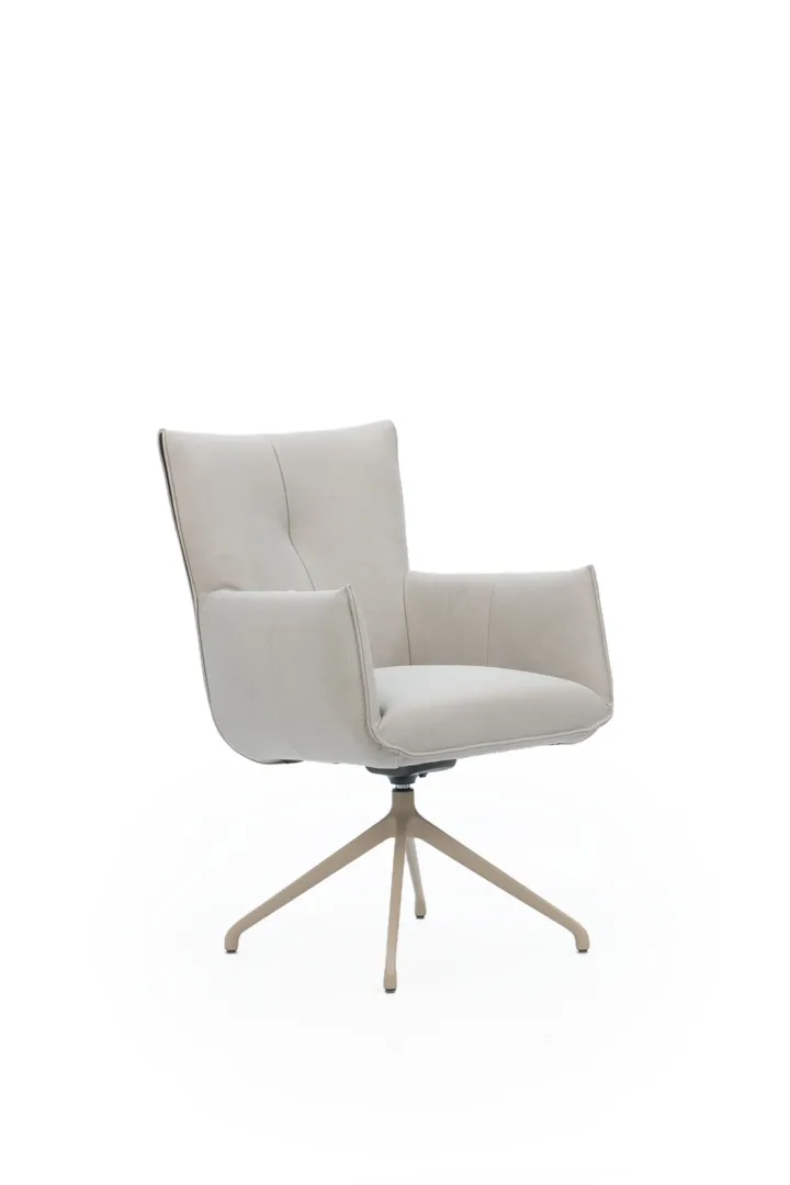 Sessel-Dino