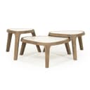 Couchtisch Fred Large Mangoholz - Eleonora