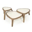 Couchtisch Fred Large Mangoholz - Eleonora