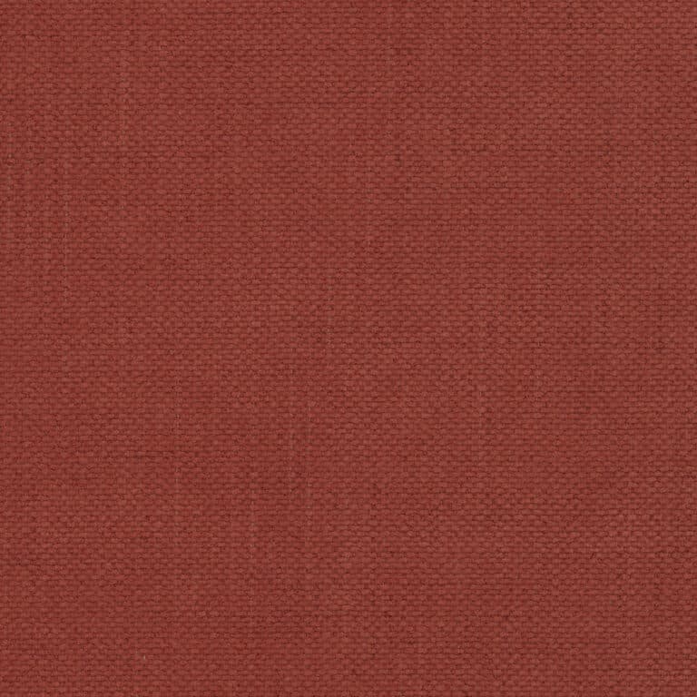 Moly kleur Kleur 55
