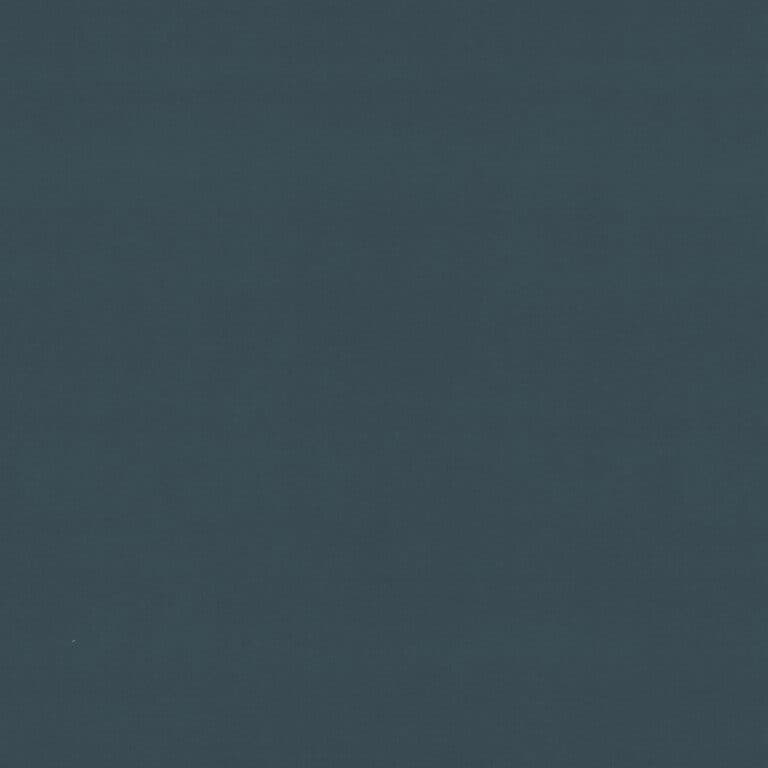 Vega kleur Kleur 79