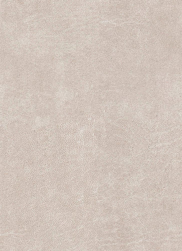 Bull kleur Beige 05