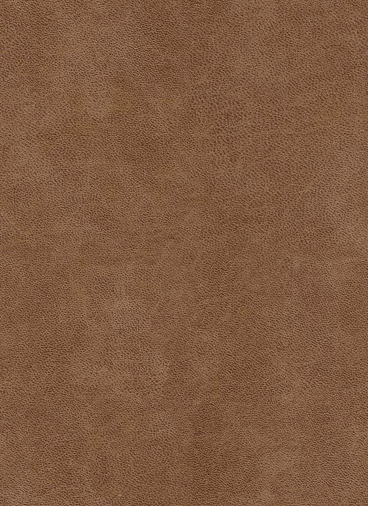 Bull kleur Camel 09