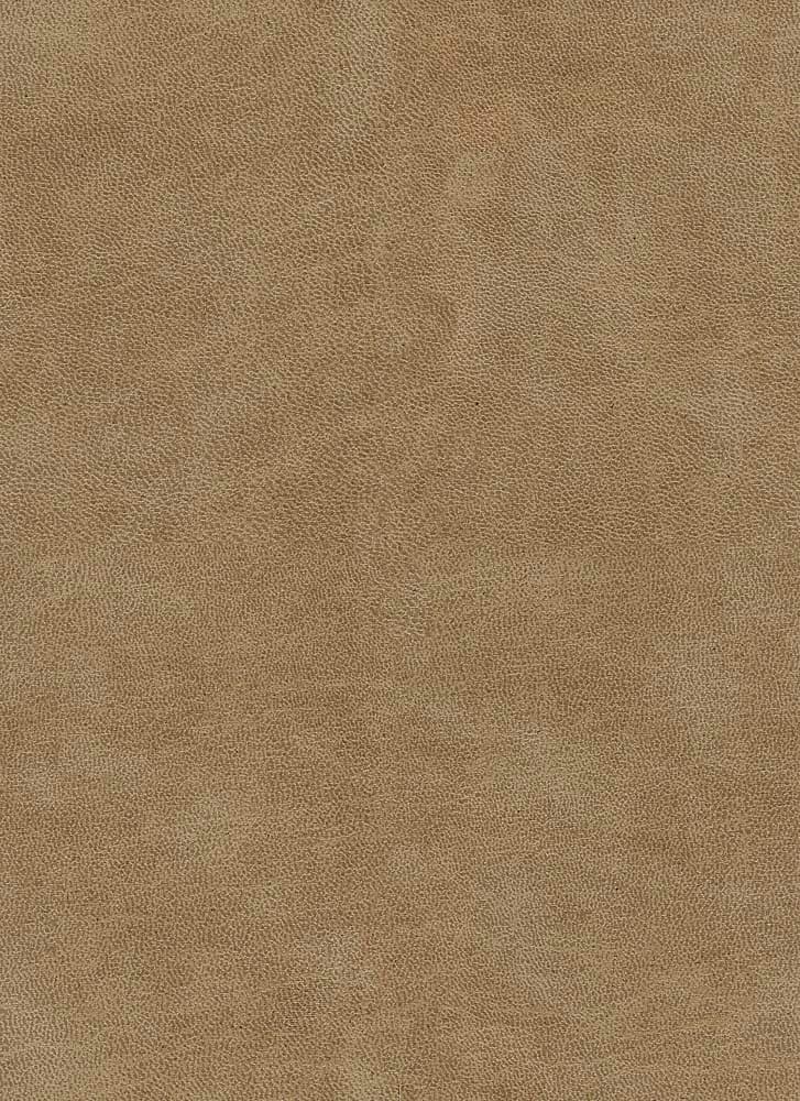 Bull kleur Caramel 16