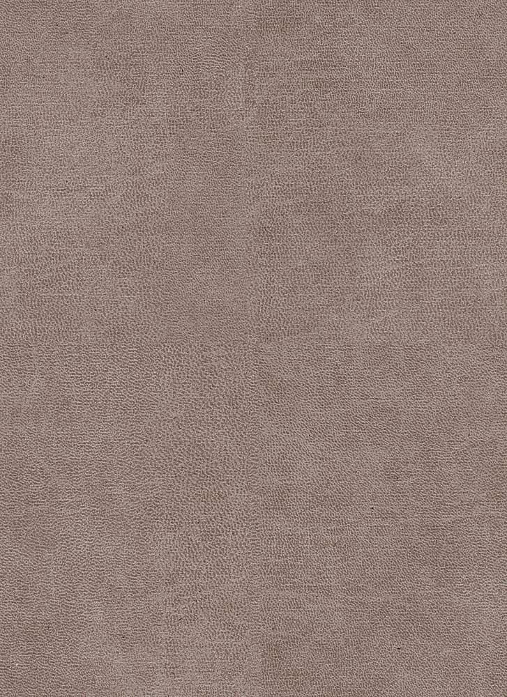Bull kleur Liver 10