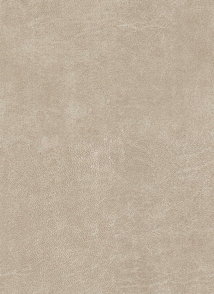 Bull kleur Shell 196