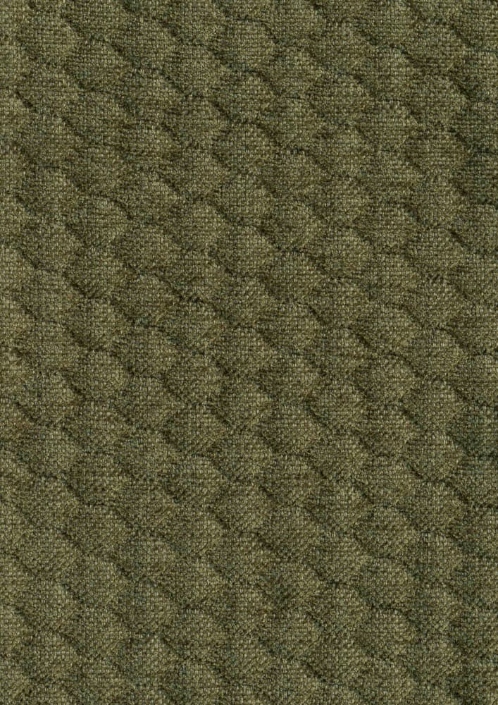 Caro kleur Moss 59
