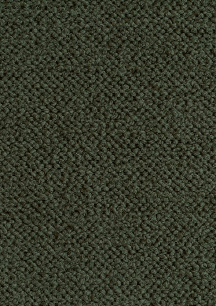 Gear kleur Turtle 88