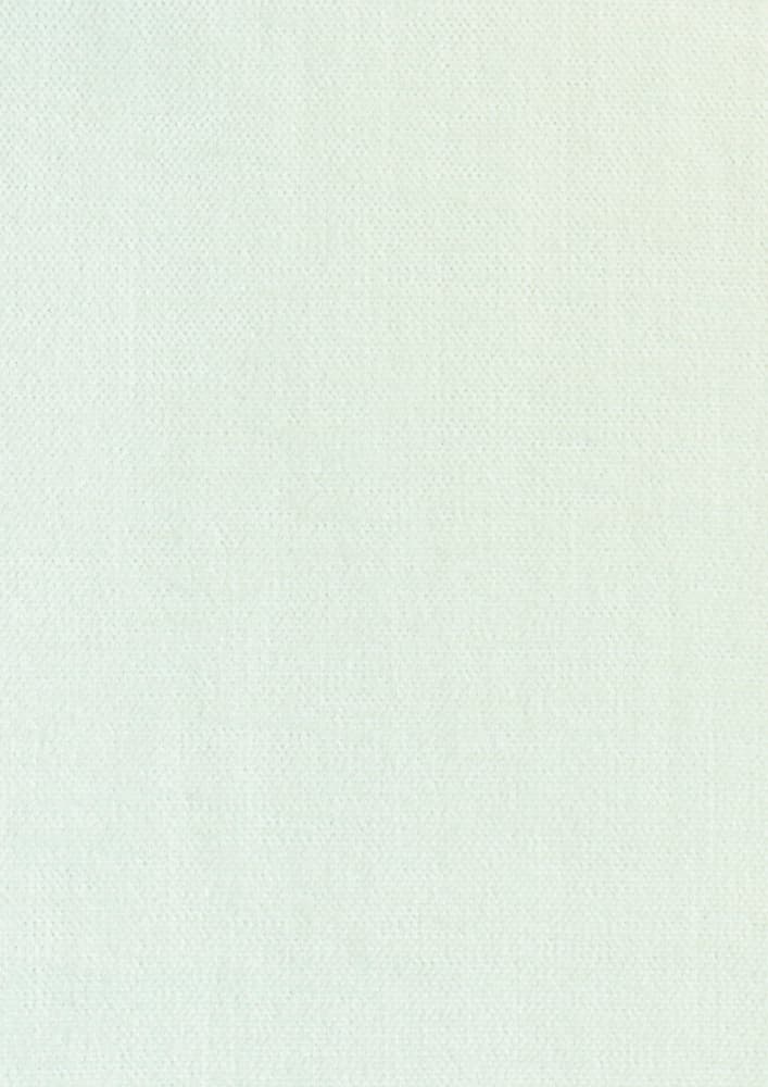 Home kleur Ivory 101