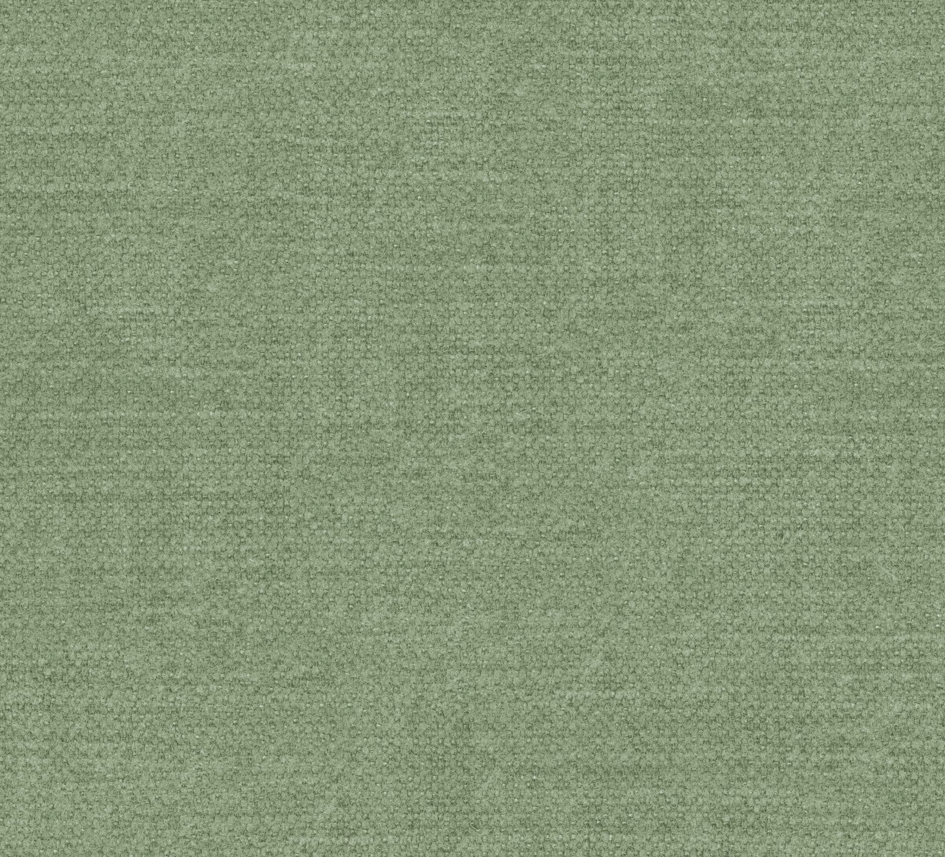 Kiss kleur Pistachio 52