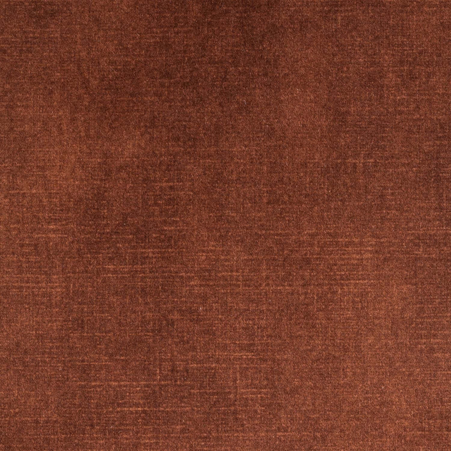 Adore 126