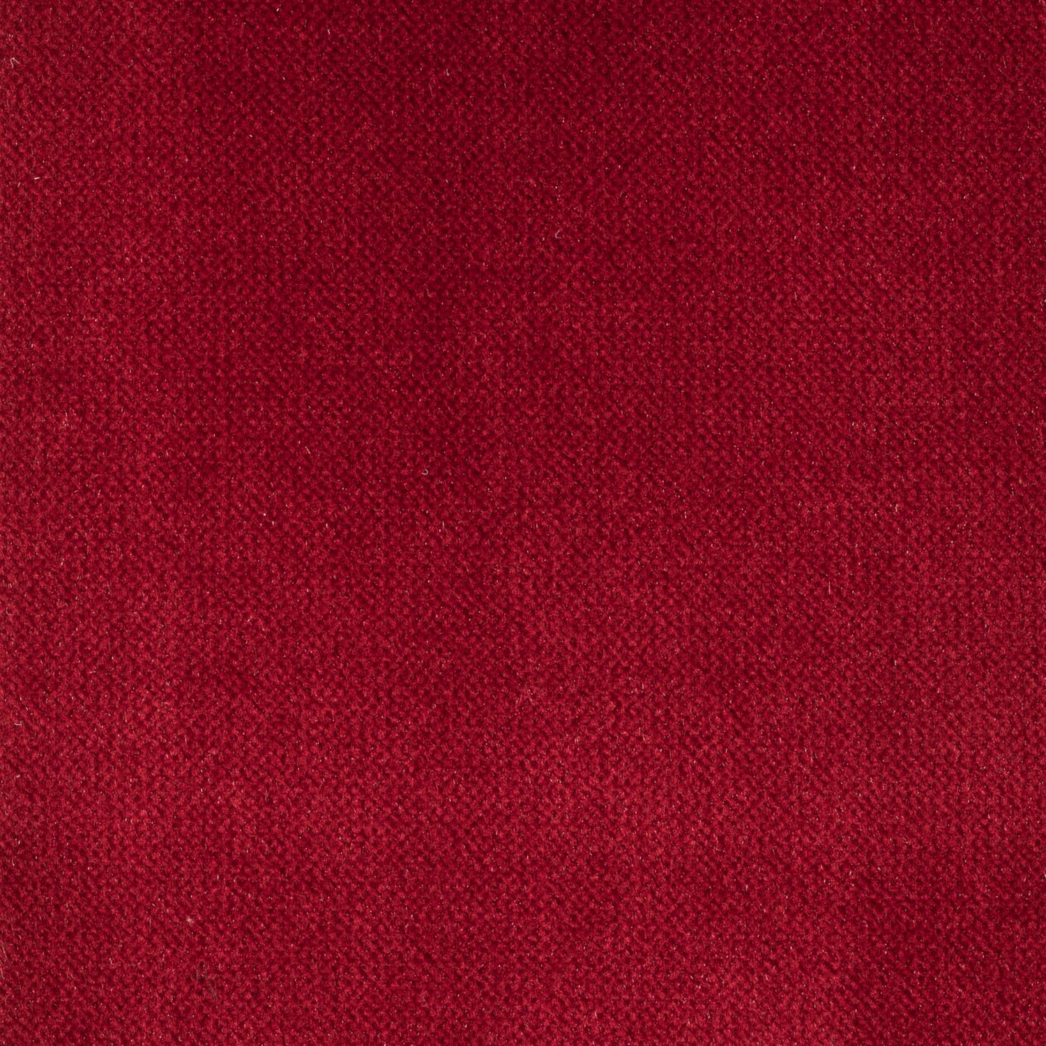 Juke 37