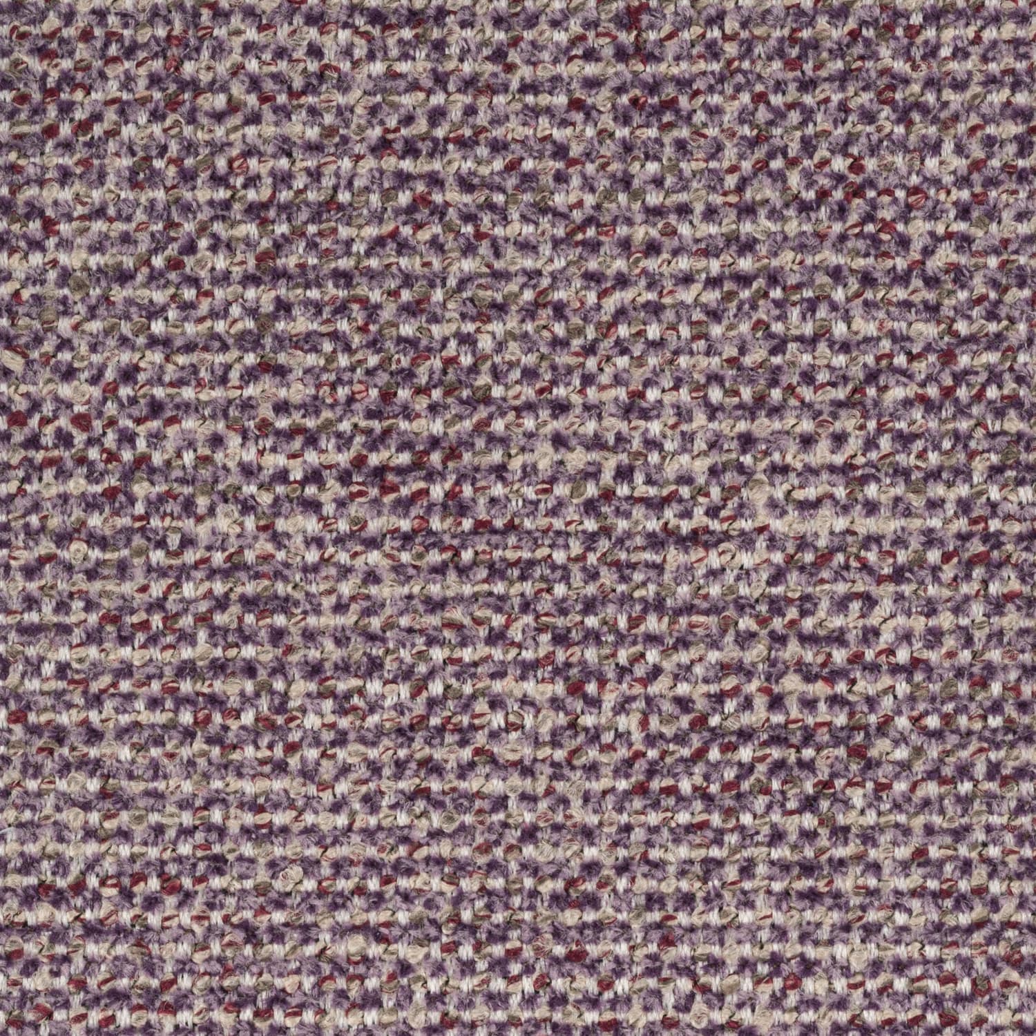 Sneak 72