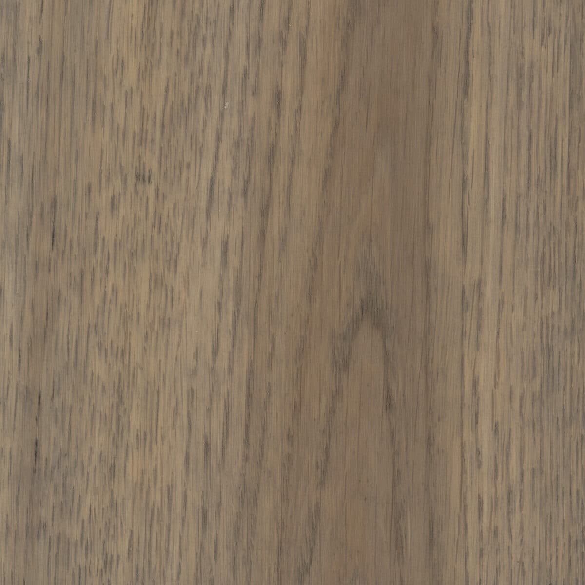 Cinnamon