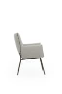 Sessel-Dino - HE design