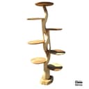 Boomsculptuur Rond Suar - Benoa