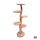 Boomsculptuur Rond Suar - Benoa