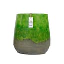 Vaas Groen Groot - Benoa