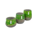 Vaas Groen Medium - Benoa
