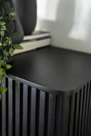 Schrank Remi 2 Tueren schwarz Mangoholz - Eleonora
