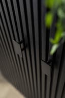 Schrank Remi 2 Tueren schwarz Mangoholz - Eleonora