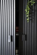 Schrank Remi 2 Tueren schwarz Mangoholz - Eleonora