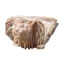 Couchtisch Lion Teak Unique - Sventerior