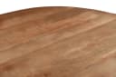 Esstisch Salvator 230 cm - Livingfurn
