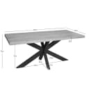 Esstisch Dakota | 160 cm | Rechteckig - Starfurn