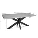 Esstisch Dakota | 180 cm | Rechteckig - Starfurn