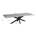 Baumstammtisch Dakota Natur-Mangoholz 240 cm - Starfurn