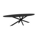 Ferris Eiche Esstisch | Oval 280 cm | Schwarz - Starfurn