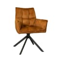Luxe eetkamerstoel Dani Velvet met goudkleurige bekleding en armleuningen, op een zwarte houten onderstel, perfect voor een stijlvolle eetkamer. - Starfurn