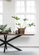 Esstisch Curves - DTP Home