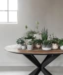 Esstisch Shape rund - DTP Home