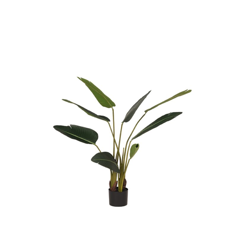 Strelitzia Künstliche Pflanze