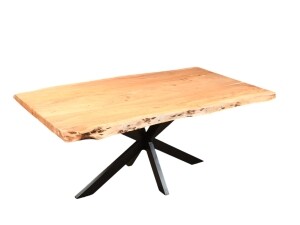 Baumstammtisch Nando acacia Holz